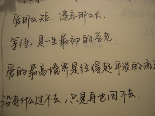 外国人来中国学校的作文500字（外国人给中国老师写的作文）