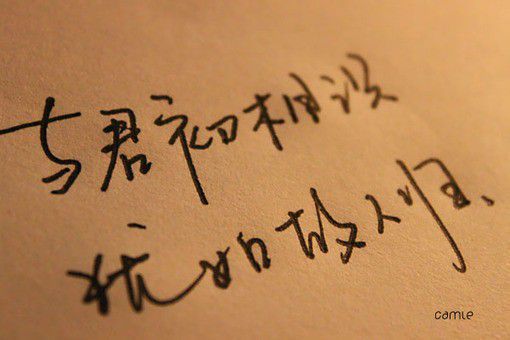 日本文化作文300字日语（介绍中国文化的日语作文300字）