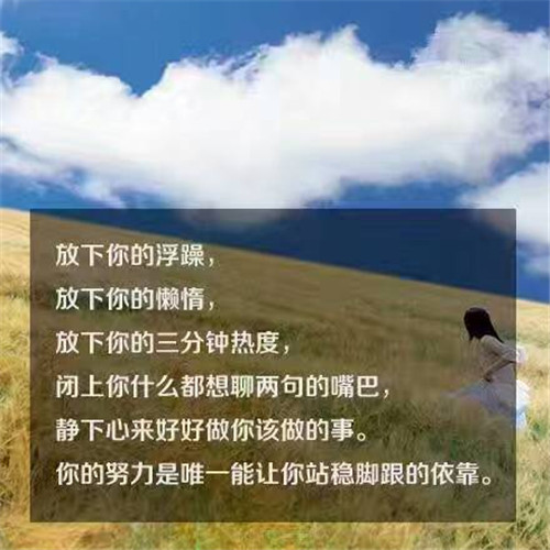 杭州西湖文化景观作文450字（杭州西湖的景点介绍作文400字）