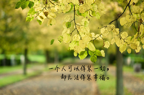 描写公园里的杨树的作文（一年四季的大杨树作文）