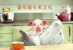 向外国朋友介绍中国美食英语作文