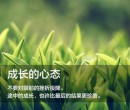 春节作文英语带翻译六句话