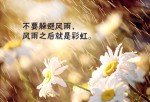 中国文化遗产的作文400字杭州西湖