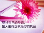 中国传统节日英语作文万能句子