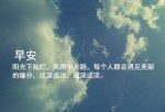 介绍深圳的英语作文100字带中文