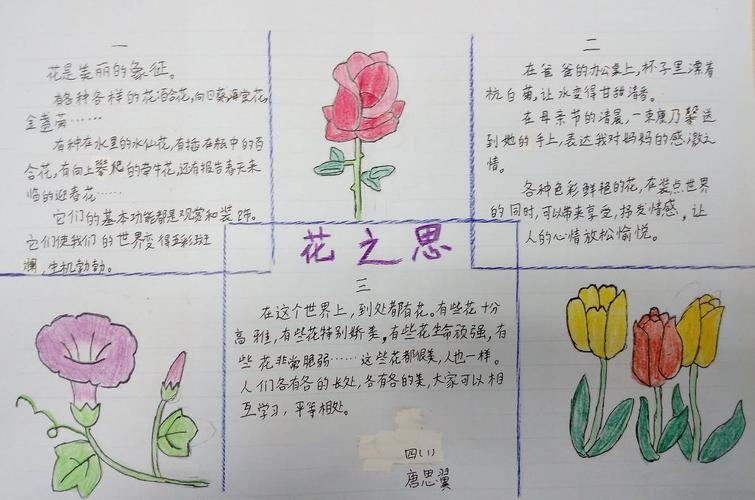 蔷薇花手抄报简单又漂亮(保护植物手抄报作品24幅)