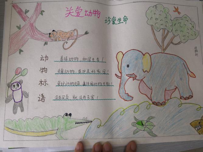 四年级下册关于动物的手抄报语文