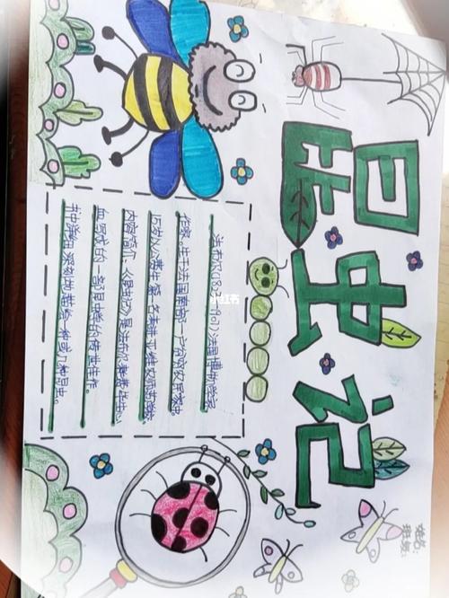 三年级下册昆虫记手抄报超好看(昆虫记手抄报精选26幅)