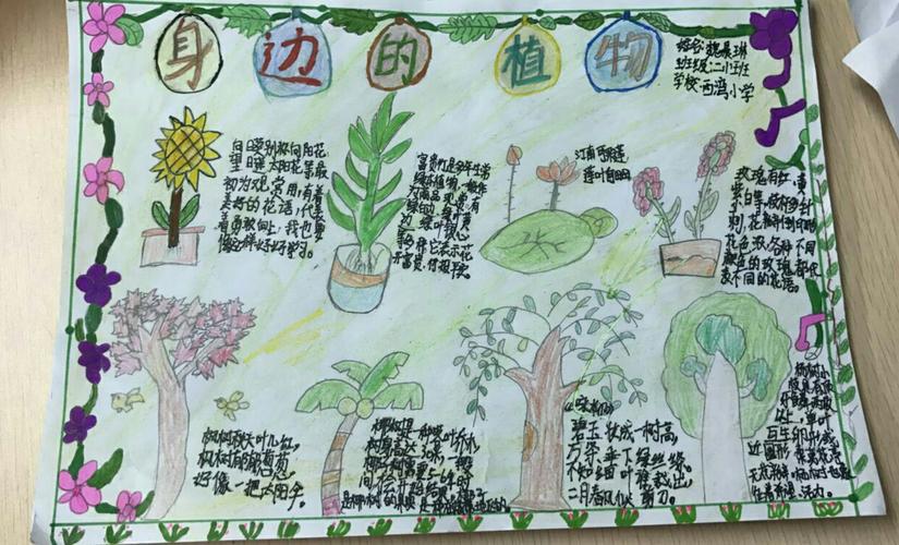 三年级下册生活中的植物手抄报(植物园手抄报22份)