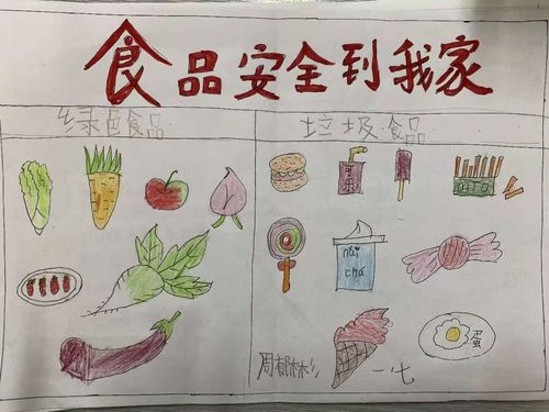 幼儿园食品安全手抄报以画为主(食品与安全手抄报19份)