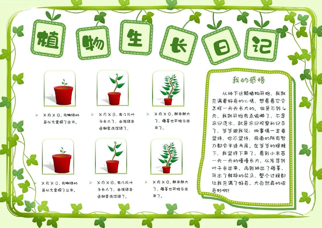 植物的特点和生长环境手抄报(花的手抄报24幅)