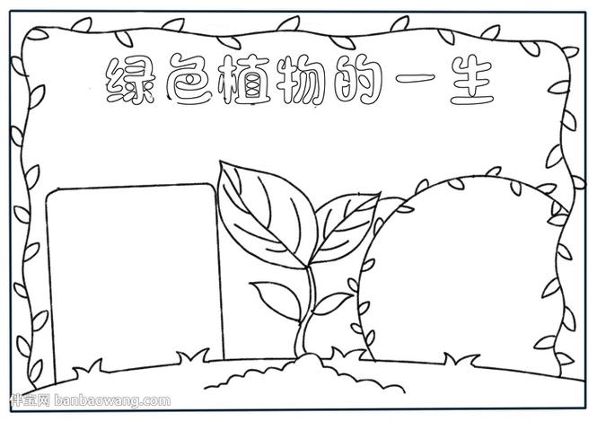 介绍植物手抄报模板(植物园手抄报精选21幅)