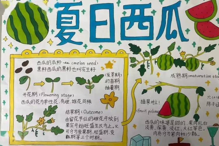 蔬菜种植手抄报六年级图文