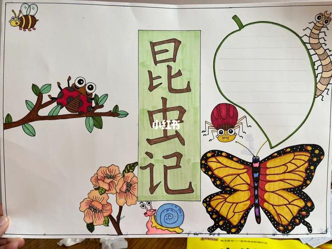 四年级昆虫记语文手抄报(关于昆虫的手抄报精选26幅)