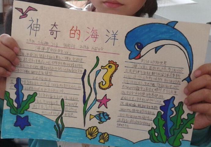 三年级关于海洋的手抄报图文