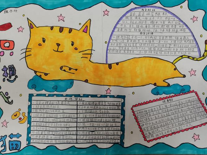 小猫手抄报简单又漂亮二年级