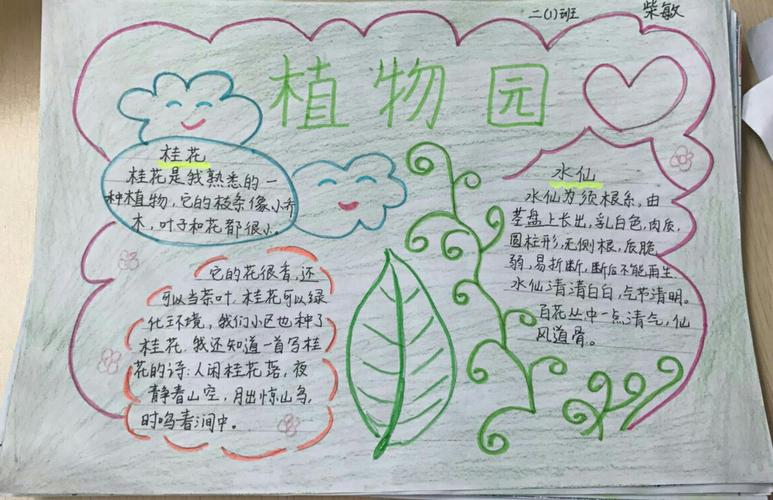 植物手抄报小学5年级图片(花的手抄报作品25份)