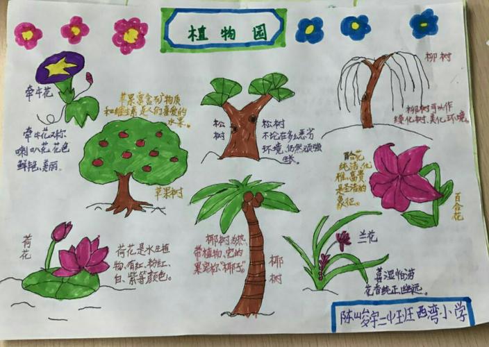 一年级小学生植物手抄报图片 图文(植物园手抄报推荐20幅)