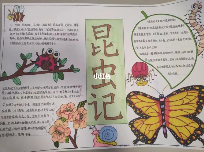 昆虫记手抄报简单模板 图文(昆虫记手抄报最新18份)