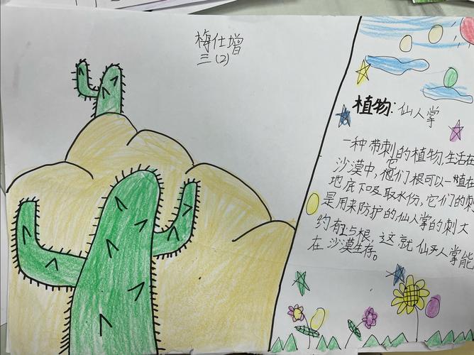 三年级手抄报我们的植物朋友(植物园手抄报推荐26张)