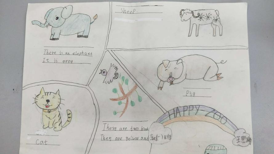 动物英语手抄报三年级简单又好看