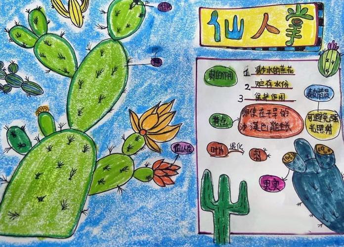 植物手抄报小学5年级图片(花的手抄报作品25份)